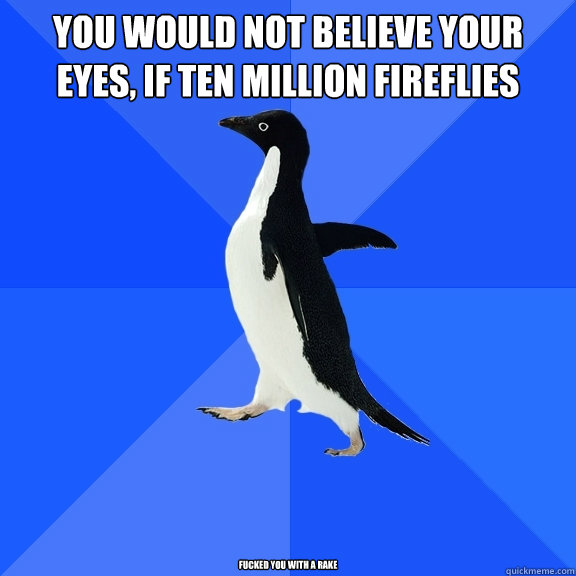 You would not believe your eyes, if ten million fireflies FUCKED YOU WITH A RAKE  Socially Awkward Penguin