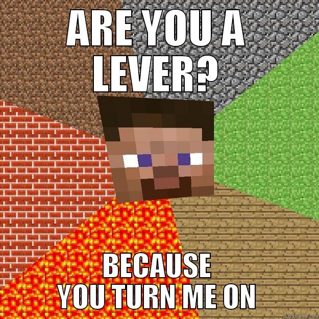 ARE YOU A LEVER? BECAUSE YOU TURN ME ON Minecraft