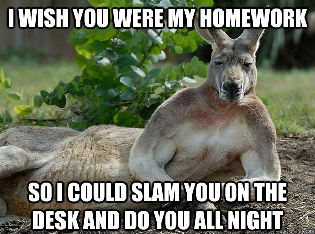 i wish you were my homework so I could slam you on the desk and do you all night - i wish you were my homework so I could slam you on the desk and do you all night  Sexually Forward Kangaroo