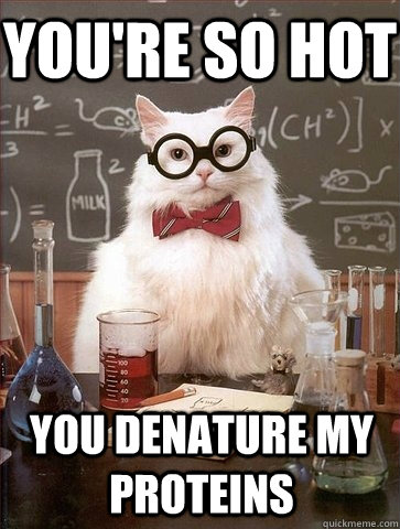 YOU'RE SO HOT YOU DENATURE MY PROTEINS  Chemistry Cat