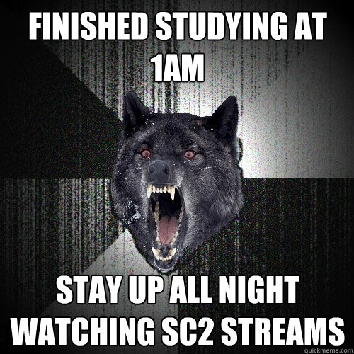 finished studying at 1am stay up all night watching sc2 streams  Insanity Wolf