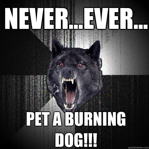 Never...Ever... Pet a burning dog!!!  Insanity Wolf