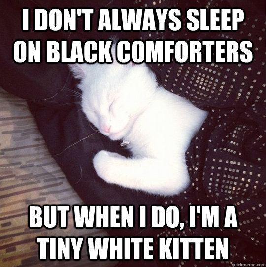 I don't always sleep on black comforters but when I do, I'm a tiny white kitten  Most Interesting Man