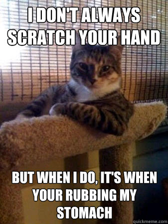 I don't always scratch your hand but when I do, it's when your rubbing my stomach  The Most Interesting Cat in the World