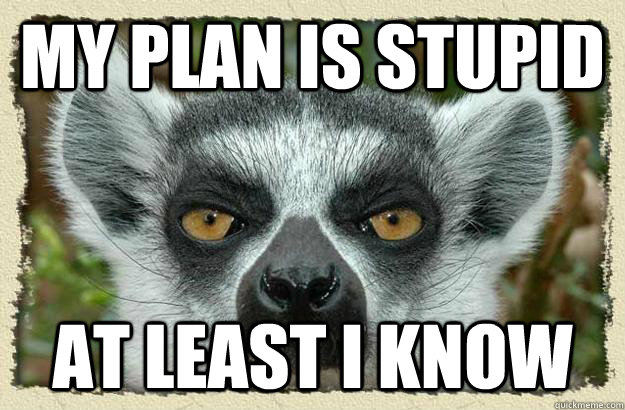 my plan is stupid at least i know - my plan is stupid at least i know  League of Legends Lemur