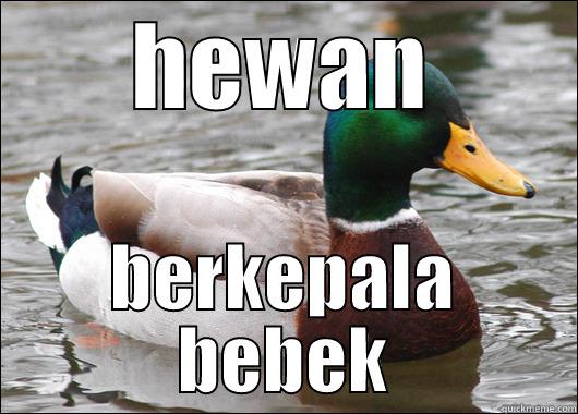 HEWAN BERKEPALA BEBEK Actual Advice Mallard