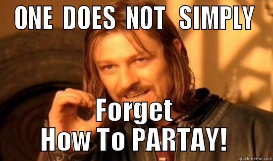 ONE  DOES  NOT   SIMPLY FORGET HOW TO PARTAY! Boromir