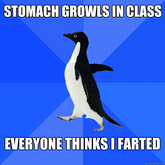 Stomach growls in class Everyone thinks I farted  Socially Awkward Penguin
