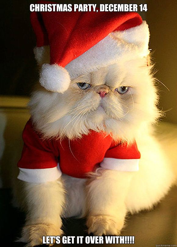 Christmas Party, December 14 Let's get it over with!!!!  Angry Cat
