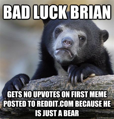bad luck brian gets no upvotes on first meme posted to reddit.com because he is just a bear  Confession Bear