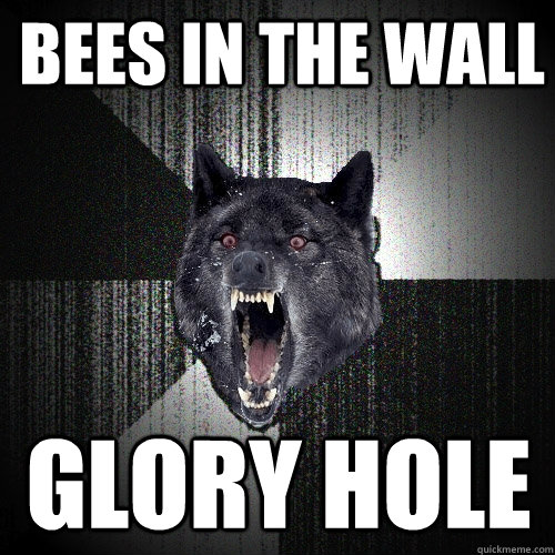 Bees in the wall Glory Hole  Insanity Wolf