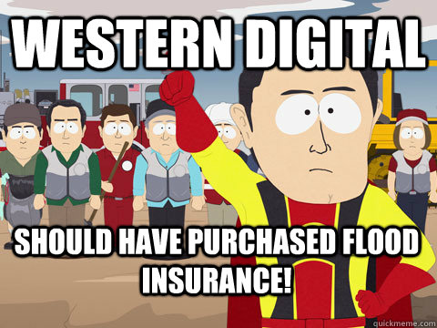 Western Digital should have purchased flood insurance!  Captain Hindsight