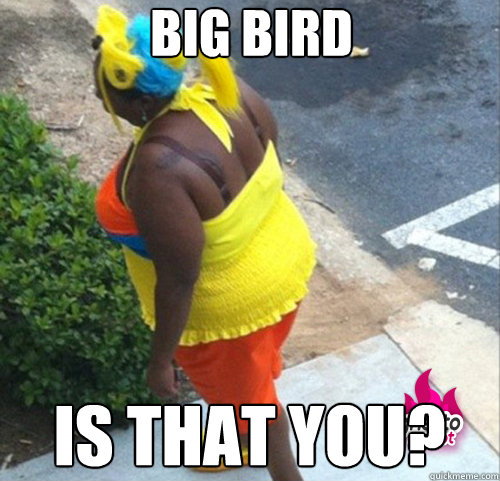 Big Bird Is that you?  