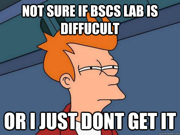 Not sure if bscs lab is diffucult or i just dont get it  Futurama Fry