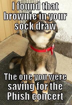 I FOUND THAT BROWNIE IN YOUR SOCK DRAW THE ONE YOU WERE SAVING FOR THE PHISH CONCERT Good Dog Greg