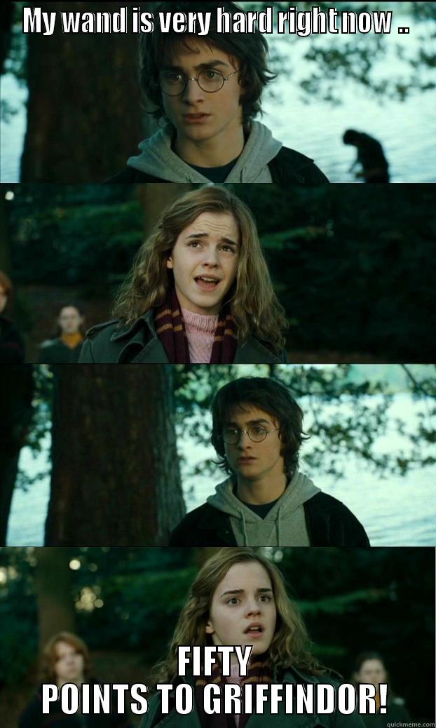 MY WAND IS VERY HARD RIGHT NOW .. FIFTY POINTS TO GRIFFINDOR! Horny Harry