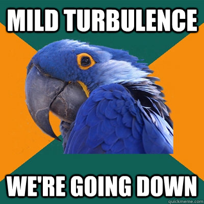 Mild turbulence  we're going down  Paranoid Parrot