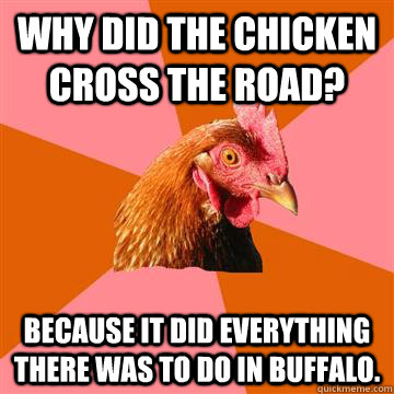 Why did the chicken cross the road? because it did everything there was to do in Buffalo. - Why did the chicken cross the road? because it did everything there was to do in Buffalo.  Anti-Joke Chicken