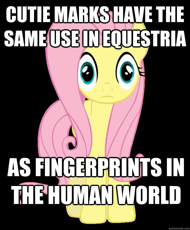 Cutie marks have the same use in Equestria As fingerprints in the human world  