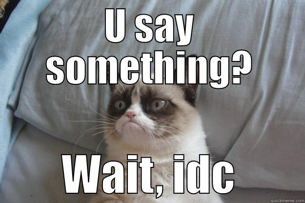 U SAY SOMETHING? WAIT, IDC Grumpy Cat
