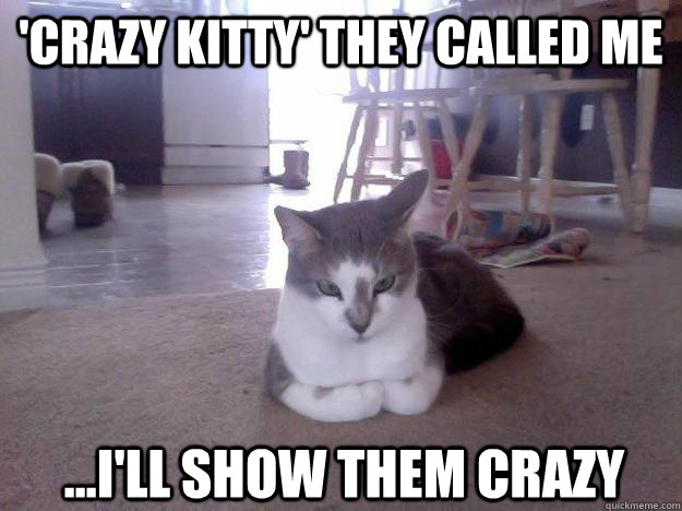 'Crazy kitty' they called me ...I'll show them crazy  