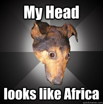 My Head looks like Africa  Depression Dog