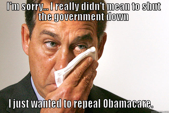 I'M SORRY... I REALLY DIDN'T MEAN TO SHUT THE GOVERNMENT DOWN I JUST WANTED TO REPEAL OBAMACARE.    Misc
