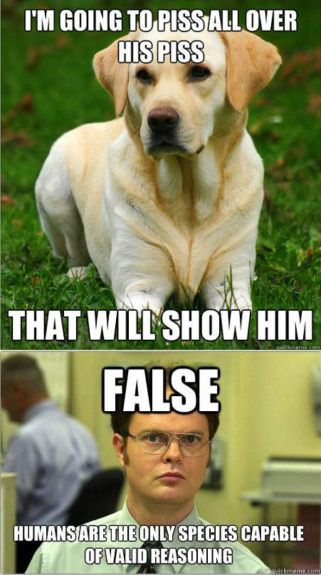   -    Dog Logic