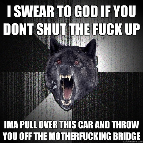 I SWEAR TO GOD IF YOU DONT SHUT THE FUCK UP IMA PULL OVER THIS CAR AND THROW YOU OFF THE MOTHERFUCKING BRIDGE  Insanity Wolf