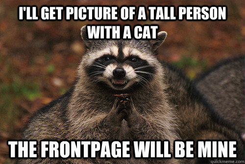 I'll get picture of a tall person with a cat the frontpage will be mine  Insidious Racoon 2