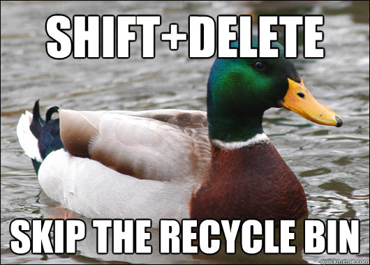 shift+delete Skip the recycle bin  Actual Advice Mallard