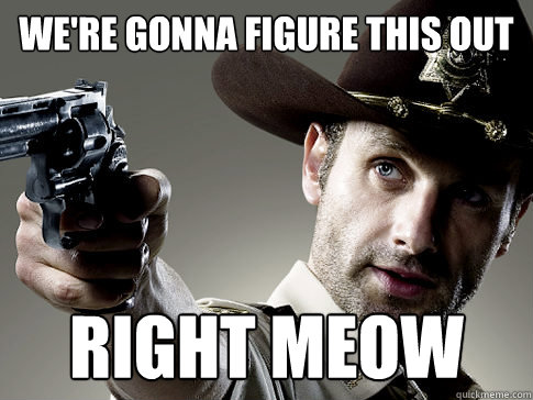 We're gonna figure this out RIGHT MEOW - We're gonna figure this out RIGHT MEOW  Rick Grimes on TV