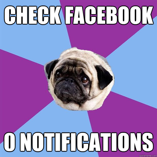 check facebook 0 notifications  Lonely Pug