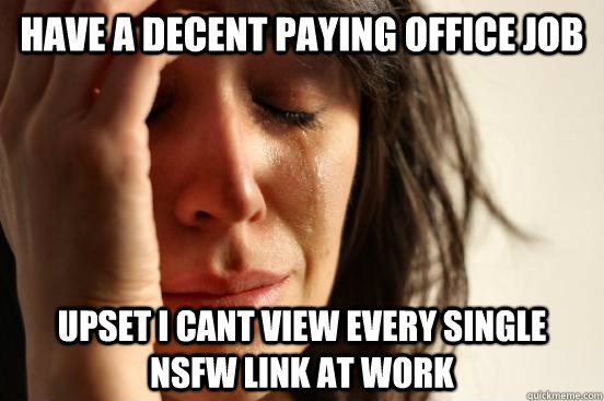 have a decent paying office job upset i cant view every single nsfw link at work  First World Problems