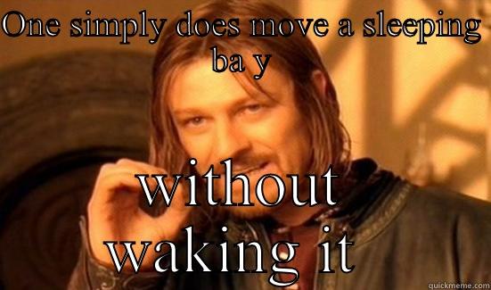 ONE SIMPLY DOES MOVE A SLEEPING BA Y WITHOUT WAKING IT  Boromir