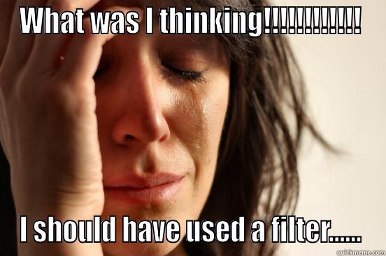 WHAT WAS I THINKING!!!!!!!!!!!! I SHOULD HAVE USED A FILTER...... First World Problems