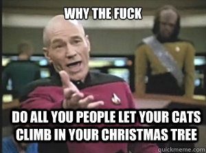 why the fuck do all you people let your cats climb in your christmas tree - why the fuck do all you people let your cats climb in your christmas tree  Annoyed Picard
