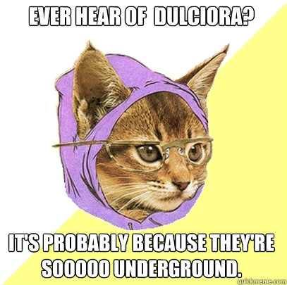 Ever hear of  Dulciora? it's probably because they're sooooo underground.  Hipster Kitty