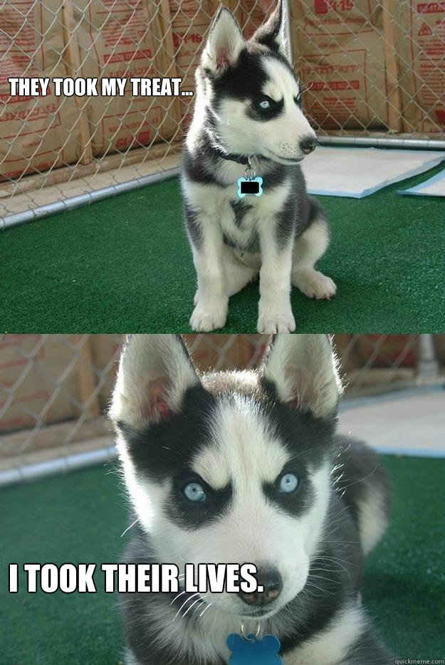 They took my treat... I took their lives.  Insanity puppy
