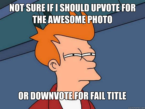 Not sure if I should upvote for the awesome photo  Or downvote for fail title  Futurama Fry
