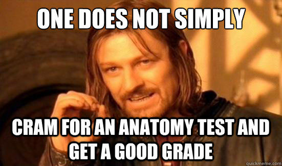 One Does Not Simply cram for an anatomy test and get a good grade  Boromir
