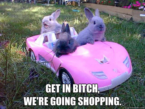 Get in bitch, 
we're going shopping. -  Get in bitch, 
we're going shopping.  Going Shopping