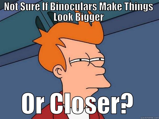 Binocular Meme - NOT SURE IF BINOCULARS MAKE THINGS LOOK BIGGER OR CLOSER? Futurama Fry