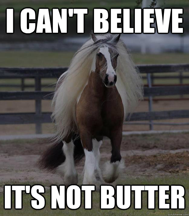 i can't believe it's not butter - i can't believe it's not butter  fabio horse