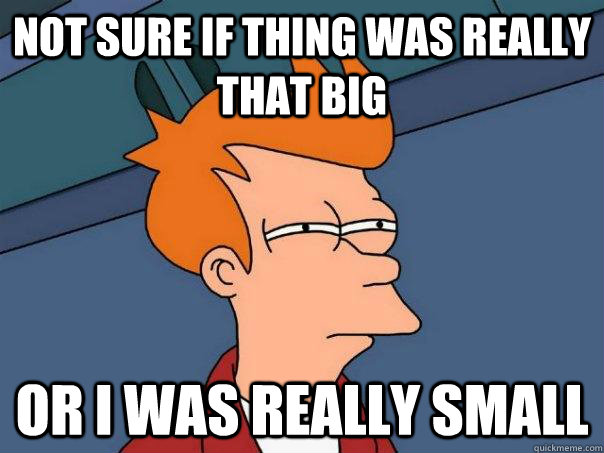 Not sure if thing was really that big Or i was really small  Futurama Fry
