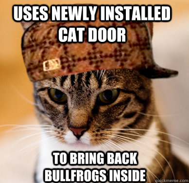 Uses newly installed cat door to bring back bullfrogs inside  Scumbag Cat
