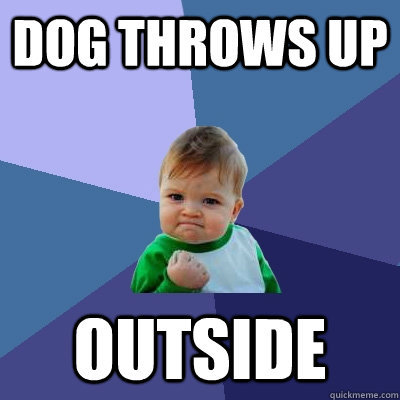 dog throws up outside - dog throws up outside  Success Kid