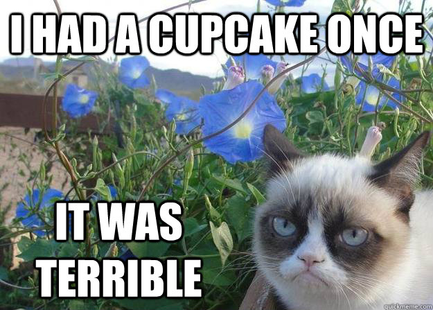 I had a cupcake once it was terrible   Cheer up grumpy cat