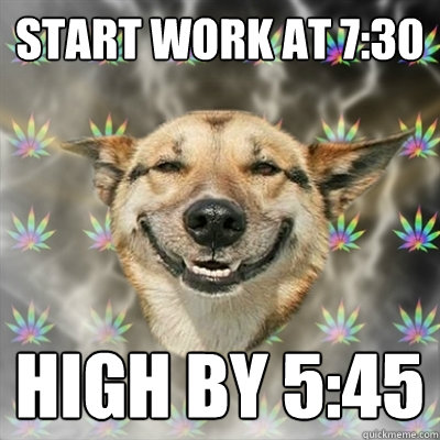 Start work at 7:30 High by 5:45  Stoner Dog