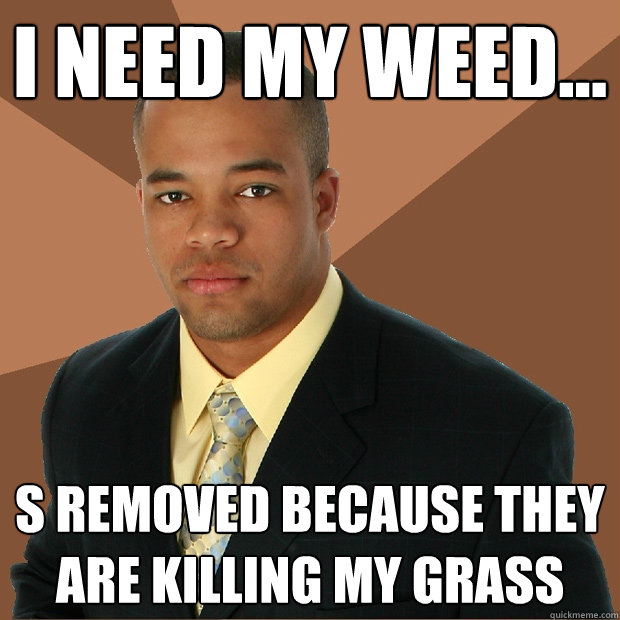 I need my weed... s removed because they are killing my grass  Successful Black Man